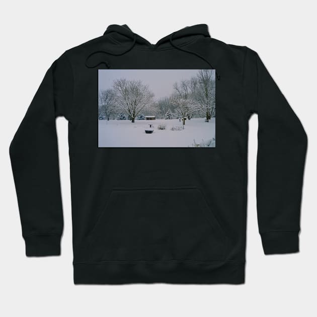 Faux Film Hoodie by tessiaphoto